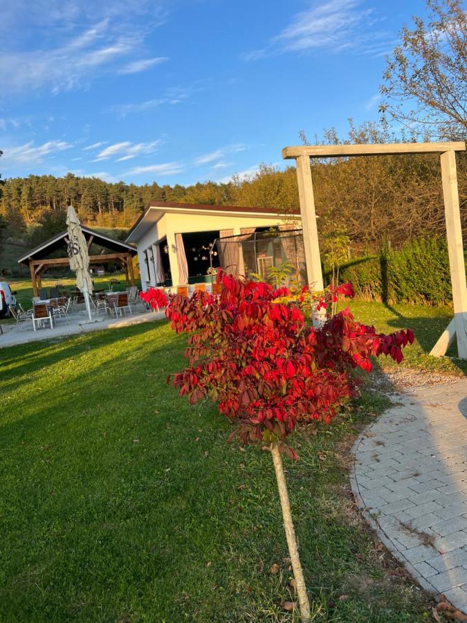 Pensiunea Baroc Dobirlau Exterior foto