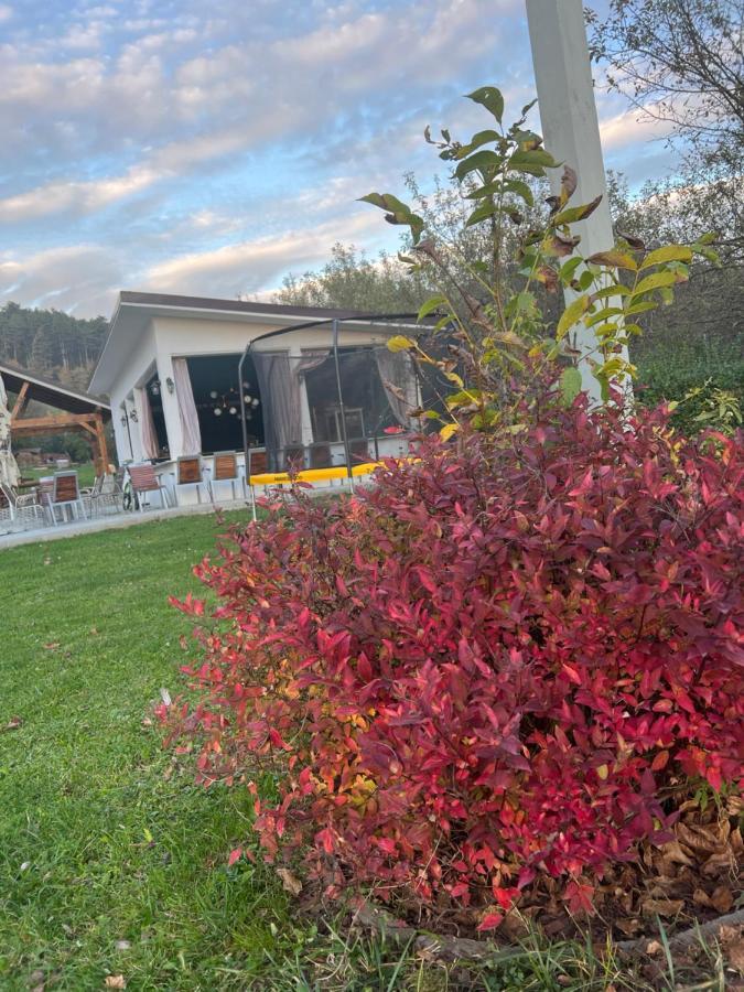 Pensiunea Baroc Dobirlau Exterior foto